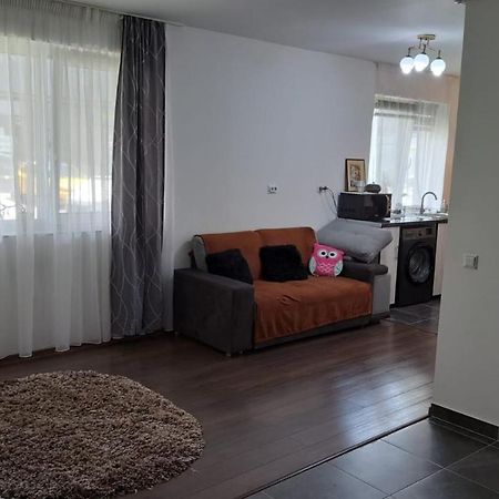 Ferienwohnung Cozy Nest Sinnicoara Exterior foto