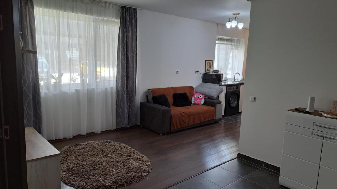 Ferienwohnung Cozy Nest Sinnicoara Exterior foto